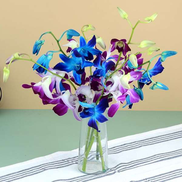 Elegant Mixed Orchids in a Cylindrical Vase