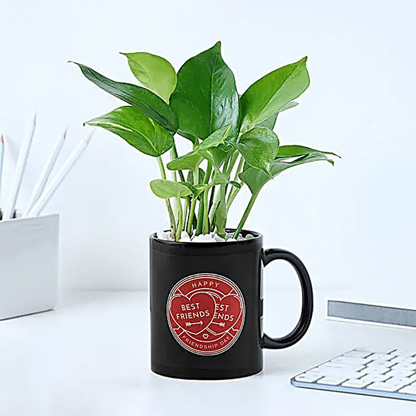 Evergreen Bond Friendship Day Mug with Money Plant-0