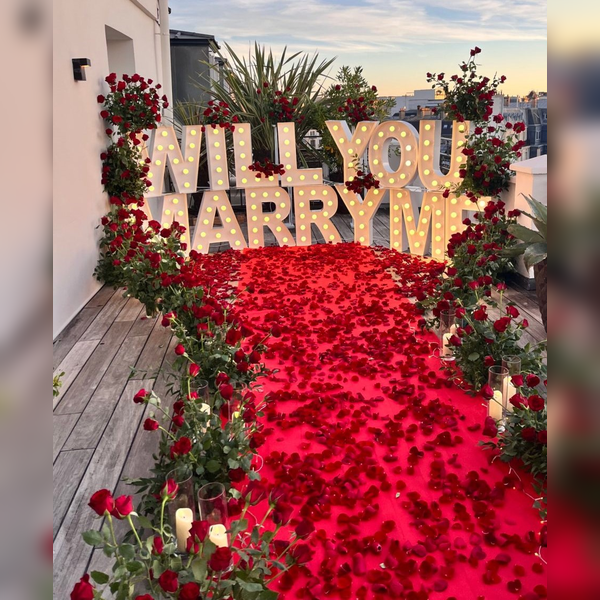 Marry Me Proposal Surprise Proposal