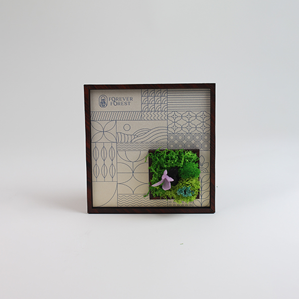 Forest Window – Moss & Botanical Frame-3