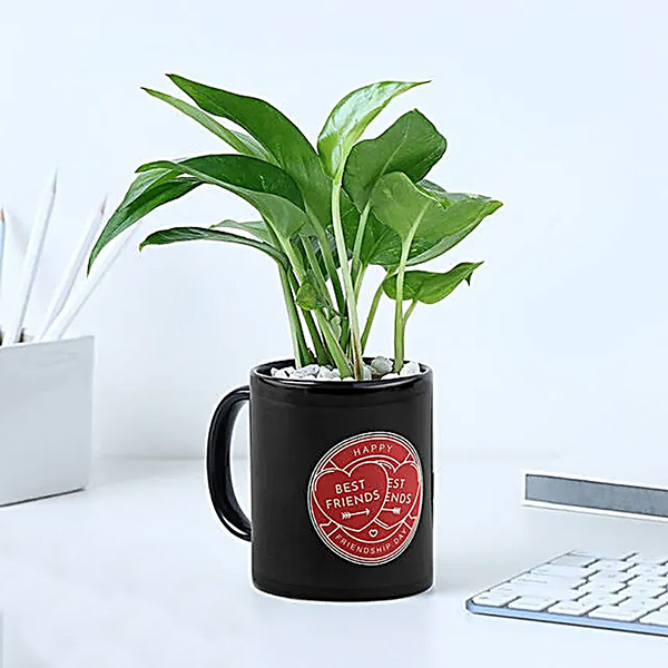 Evergreen Bond Friendship Day Mug with Money Plant-1