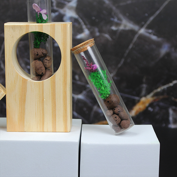 Forest View Desk Companion – Preserved Forest in Glass-6