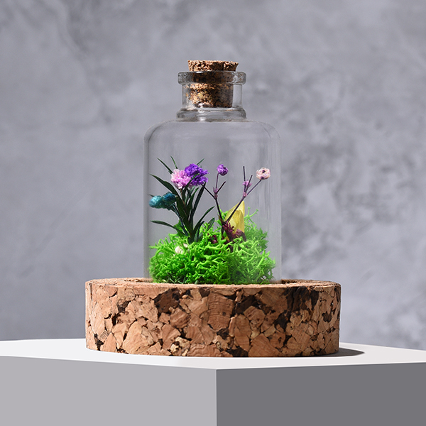 Desk Companion: Forest Dome-0