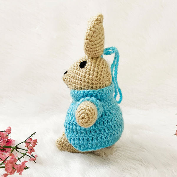 Handcrafted Amigurumi Bunny with Carrot & Blue Jacket-2