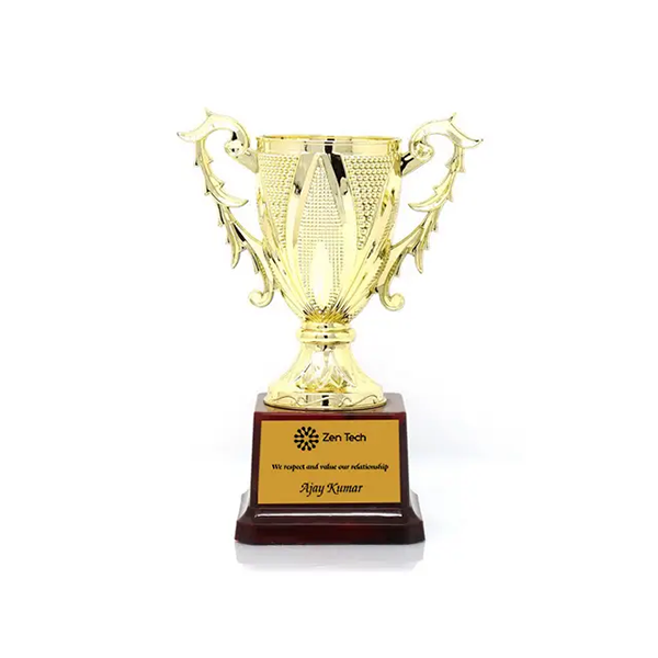 Stardom Metal Trophy - Celebrate Champions in Style-0