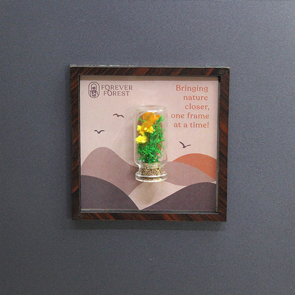 Nature’s Stage – Magnetic Forest Frame-2