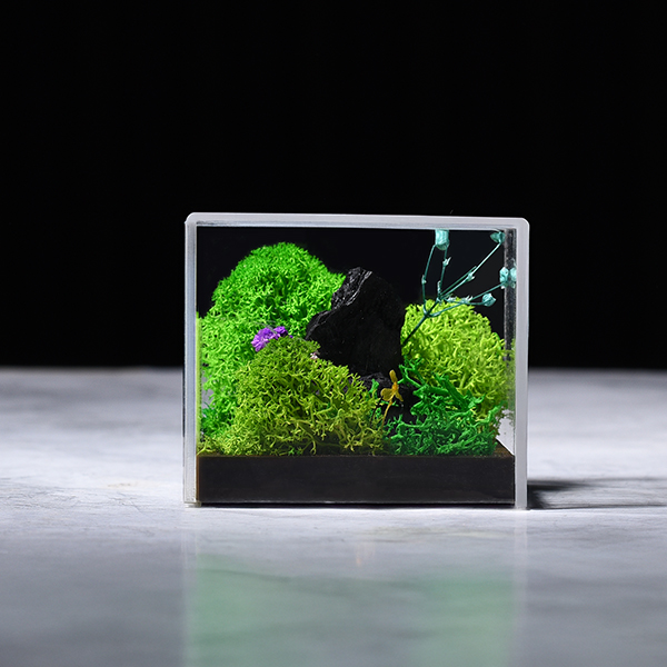 Forever Terrarium (Cube)-2
