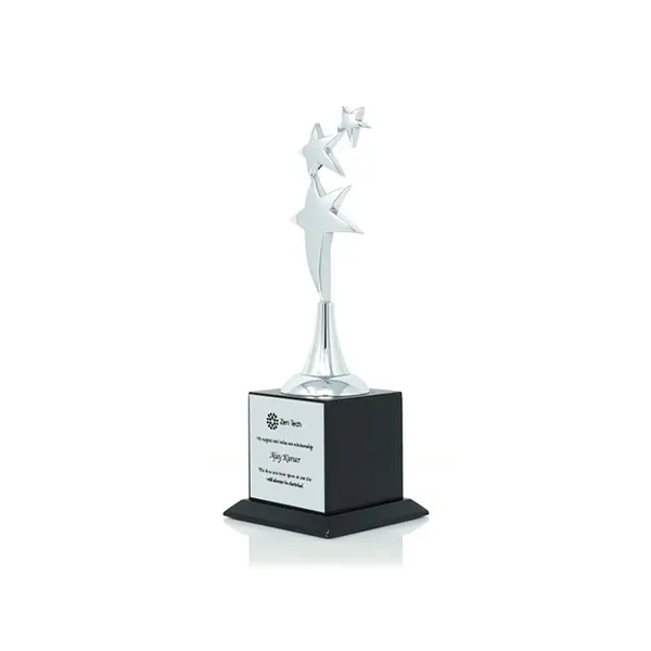 Novel Silver Wooden Trophy-2