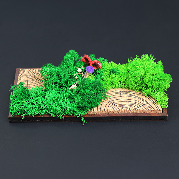 Forest Tile (Panoramic) –  Moss & Cork Art Frame-1