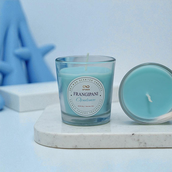 Royal Elephant Hamper with Custom logo-1