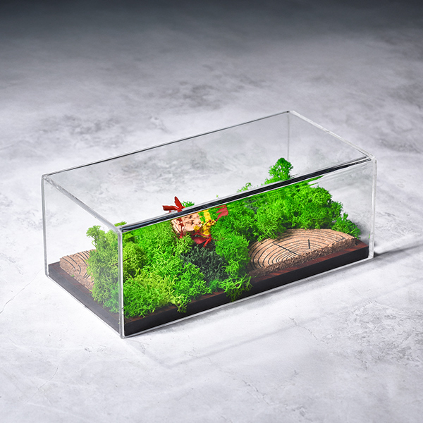 Forever Terrarium (Panorama) – Landscape Forest Display-2