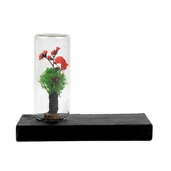 FOREST BAR (Rectangular)-0