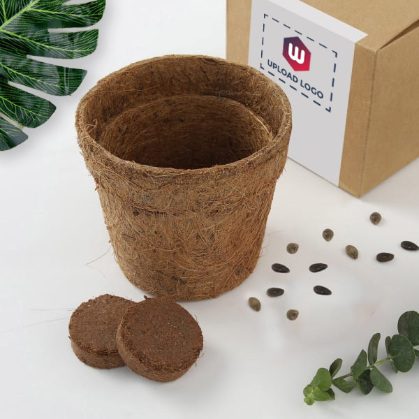 BioQ Brown Round Coco Pot-0