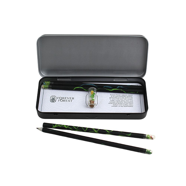 Forest Sparkle (Sketch) – Seed & Moss-Infused Pencil Set-0