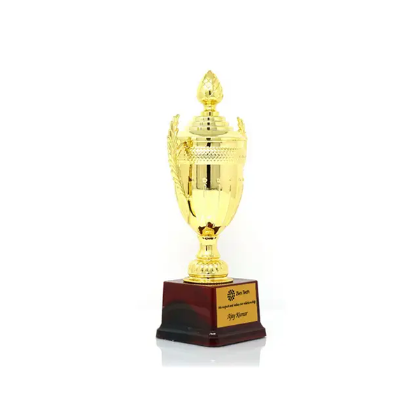Blaze Metal Trophy - Customizable Award for Champions-1