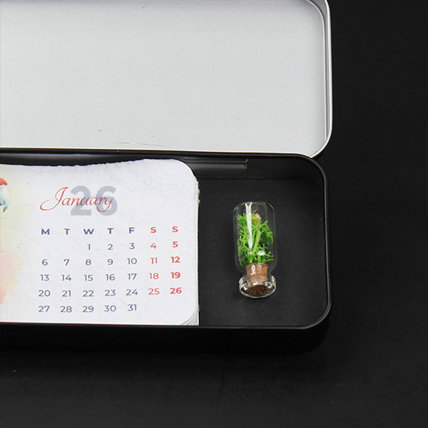 Box Forest – Plantable Calendar-7