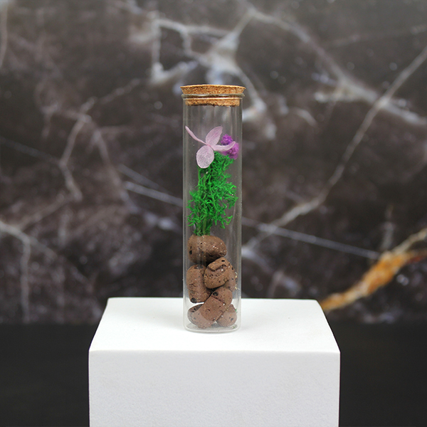 Forest View Desk Companion – Preserved Forest in Glass-2