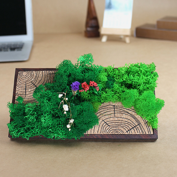 Forest Tile (Panoramic) –  Moss & Cork Art Frame-3