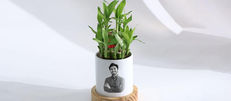 Plant Vase - online birthday gifts in Chandigarh