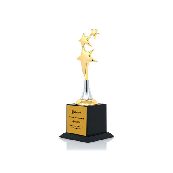 Novel Gold Wooden Trophy-2