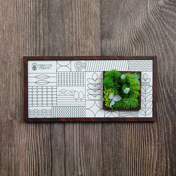 Forest Window – Moss & Art Frame-6