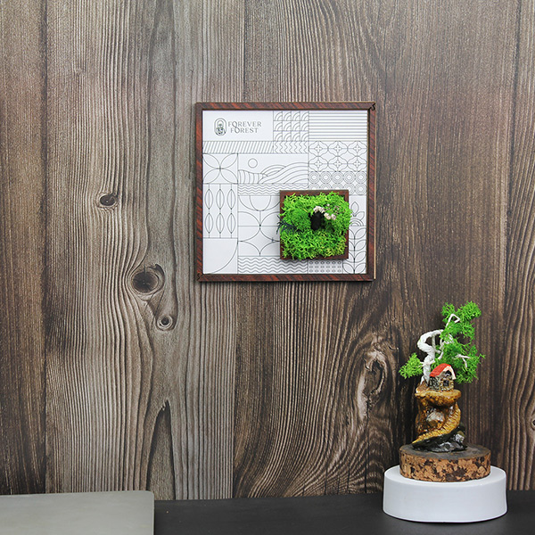 Forest Window – Moss & Botanical Frame