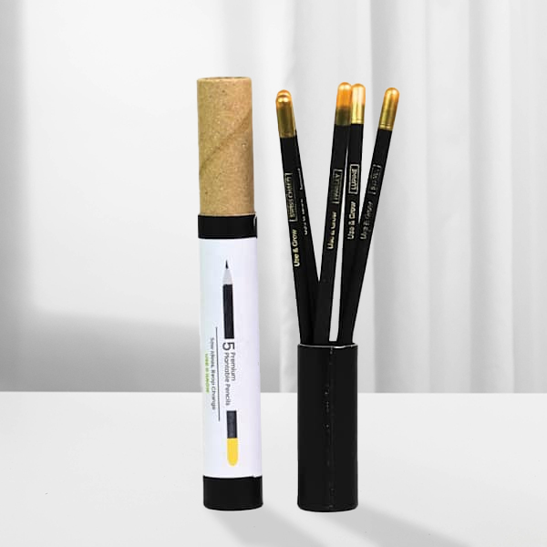 BioQ Eco- Friendly Pencil-Set-1