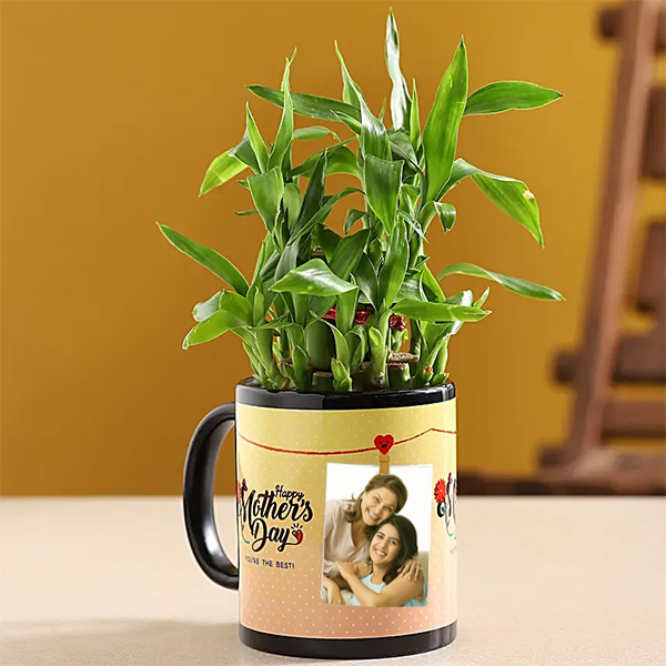Happy Mother's Day Lucky Bamboo & Photo Mug Gift