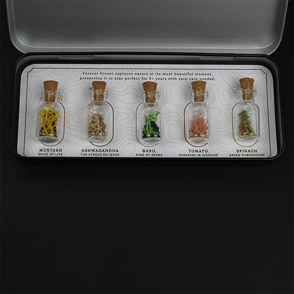 Forest Sparkle (Grow) – Premium Seed Gift Box-1