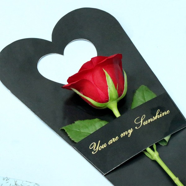 Rose and Silk Delight-1