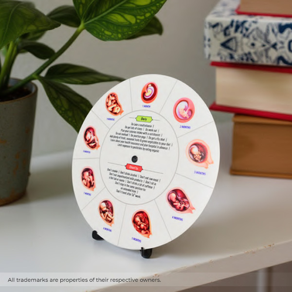 Wheel Chart with Custom branding-2