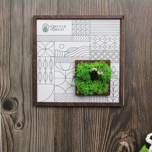 Forest Window – Moss & Botanical Frame-1