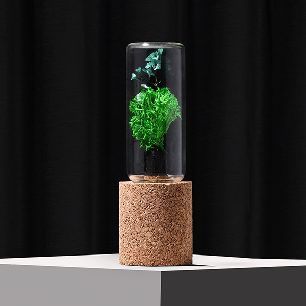 Magnetic Forest Pod (Brown)-2