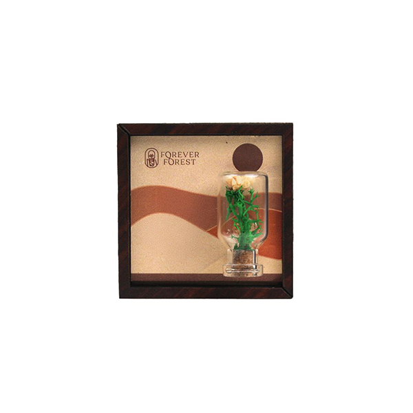 Nature's Stage – Magnetic Mini Frame