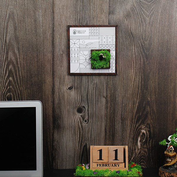 Forest Window – Moss & Botanical Frame-2