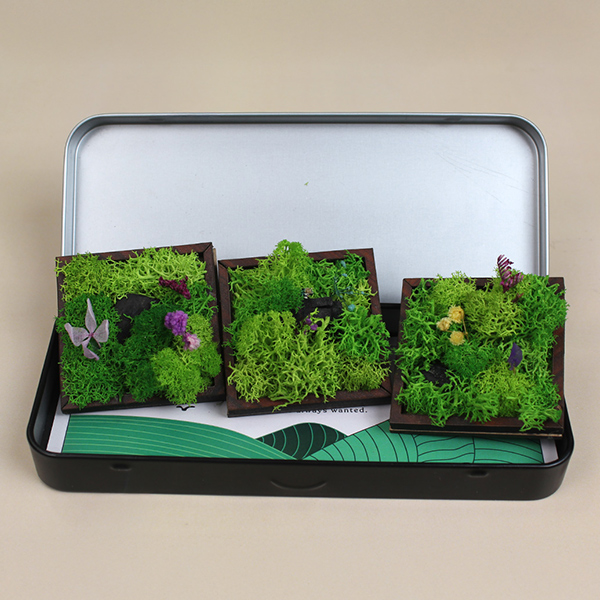 Forest Magnet (Trio) Set - 3-0