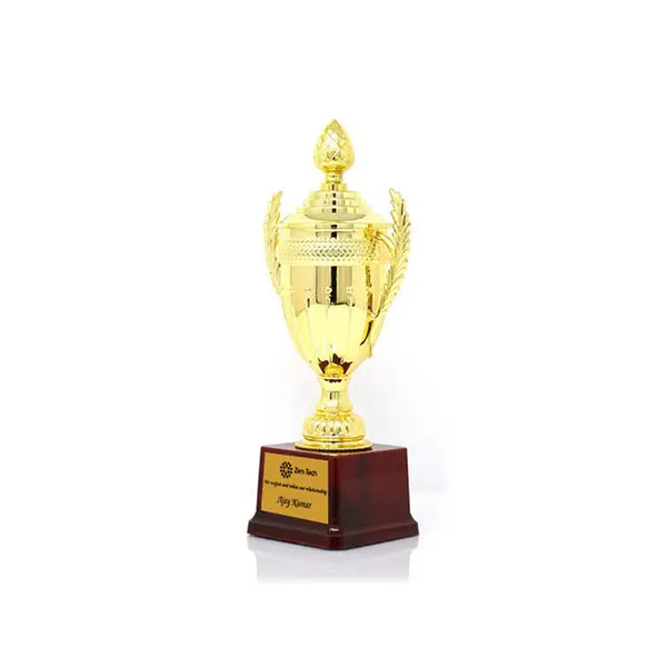Blaze Metal Trophy - Customizable Award for Champions-2