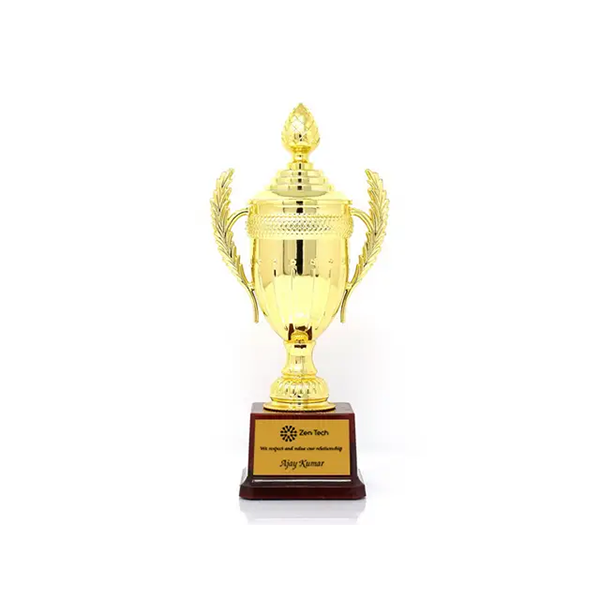 Blaze Metal Trophy - Customizable Award for Champions-0