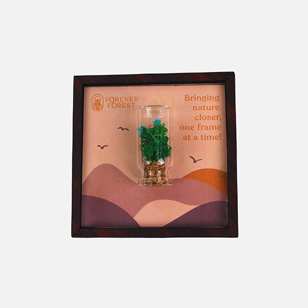 Nature’s Stage – Magnetic Forest Frame-0