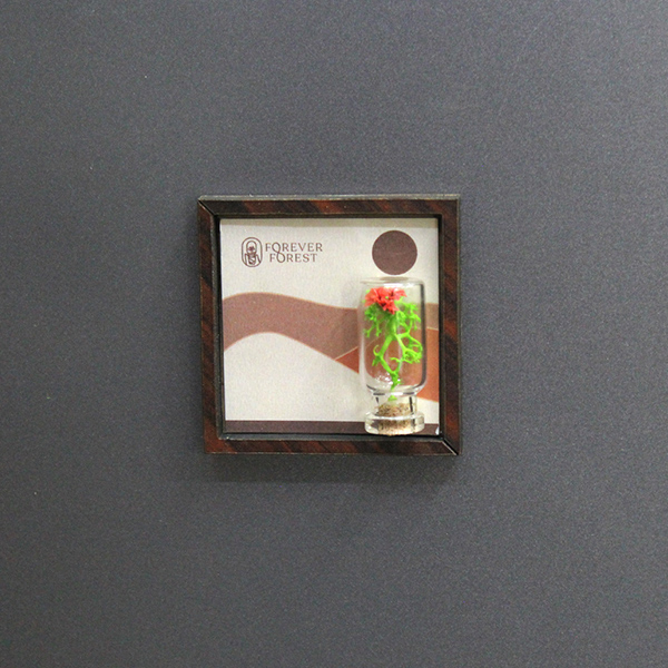 Nature's Stage – Magnetic Mini Frame-2