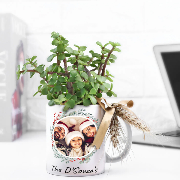 Personalized Christmas Jade Plant in Festive Mug