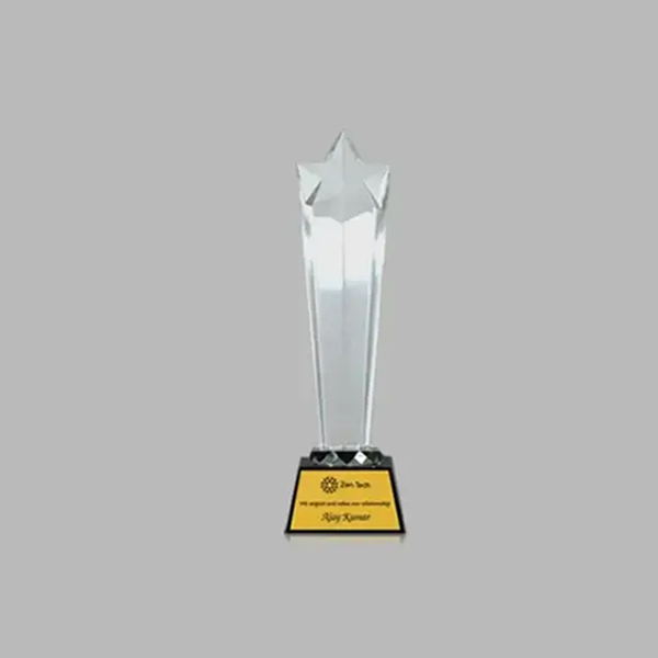 Meridian Star-Shaped Trophy-0