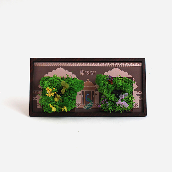 Forest Wall Frame with Moss Tiles-0