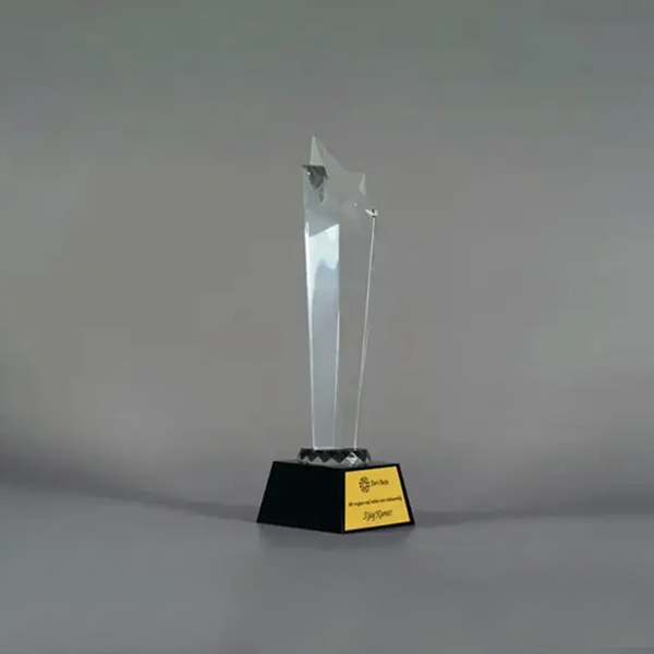 Meridian Star-Shaped Trophy-1