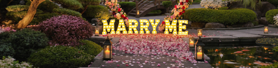 surprise proposal planner