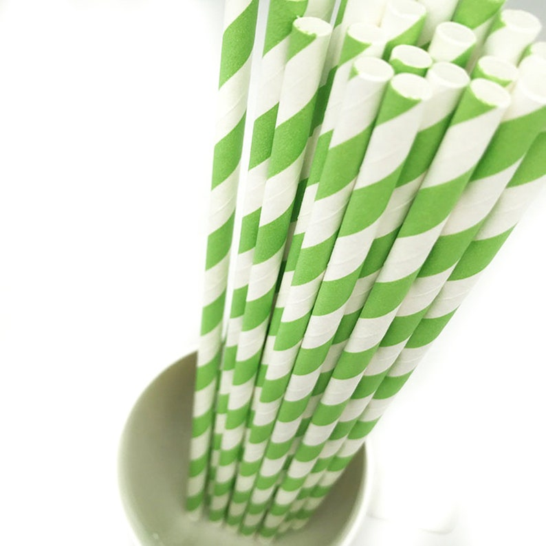 ECO - BIO Green Paper Straws for Cocktail Drinking Pack of 50-1