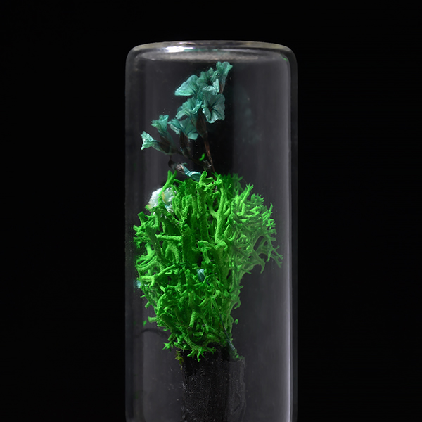 Magnetic Forest Pod (Brown)-1