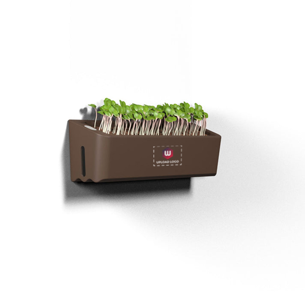 EO Terrarium Self Watering Plant Pot-3