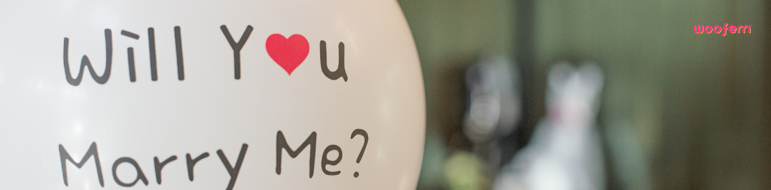 Top Surprise Proposal Decoration Ideas in Chandigarh for a Magical “Yes”