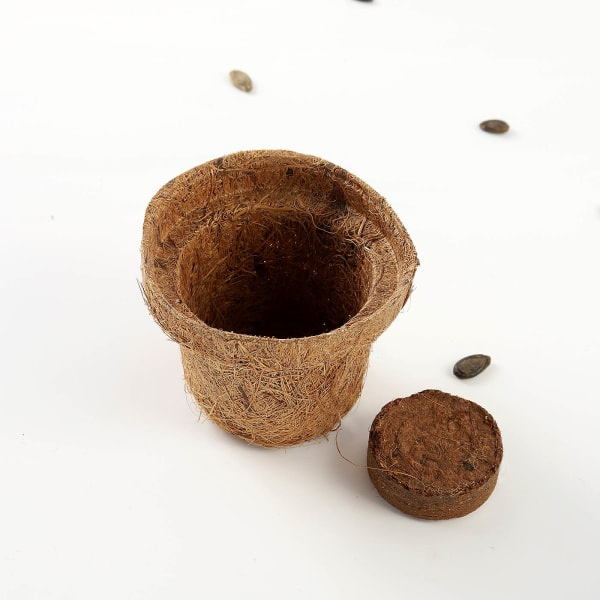 BioQ Brown Round Coco Pot-2